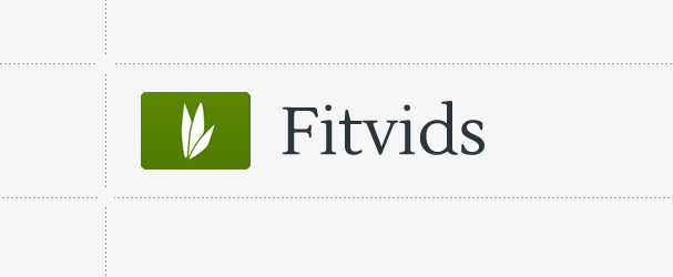 fitVidsBlog