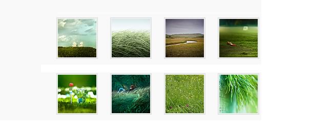 jflickr