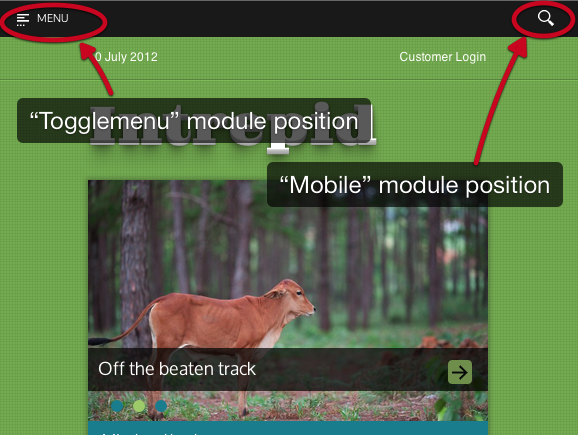 Mobile+view.png
