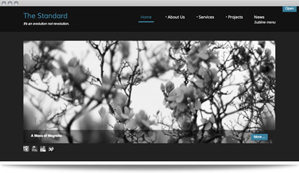 Standard Joomla Template