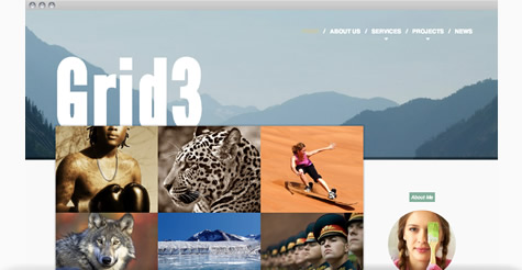 Grid3 Joomla Template