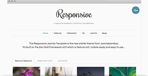 Responsive Joomla Template