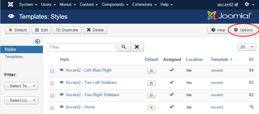 Joomla Template Options