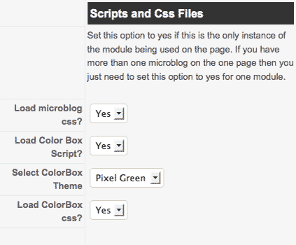 load-scripts-css