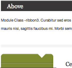 module-ribbon3