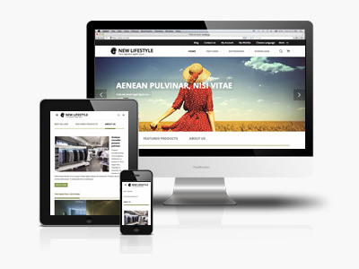 newlifestyle-responsive