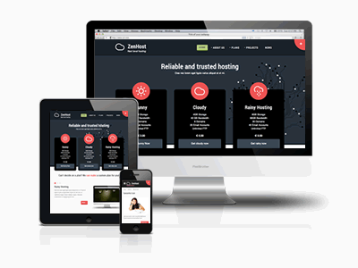 Zenhost responsive