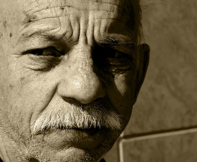 portrait-53899 640